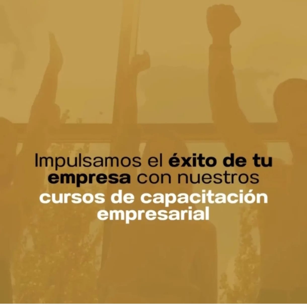 Socio Estratégico